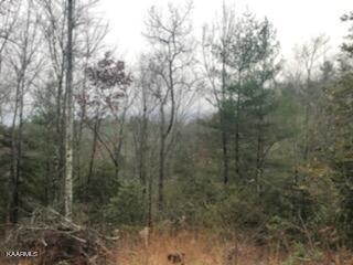 Sexton Loop / Copperhead Rd