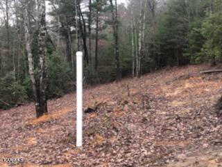 Sexton Loop / Copperhead Rd