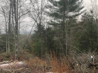 Sexton Loop / Copperhead Rd