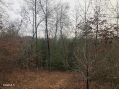 Sexton Loop / Copperhead Rd