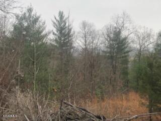 Sexton Loop / Copperhead Rd