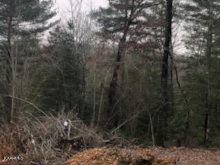 Sexton Loop / Copperhead Rd