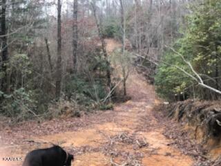 Sexton Loop / Copperhead Rd