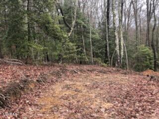 Sexton Loop / Copperhead Rd