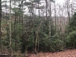 Sexton Loop / Copperhead Rd