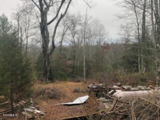 Sexton Loop / Copperhead Rd