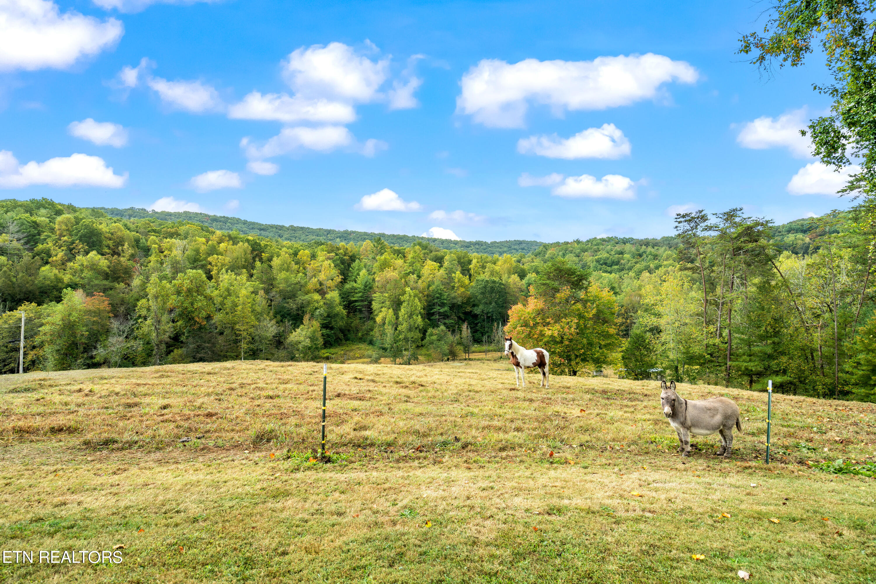 205 Russell Hollow Rd