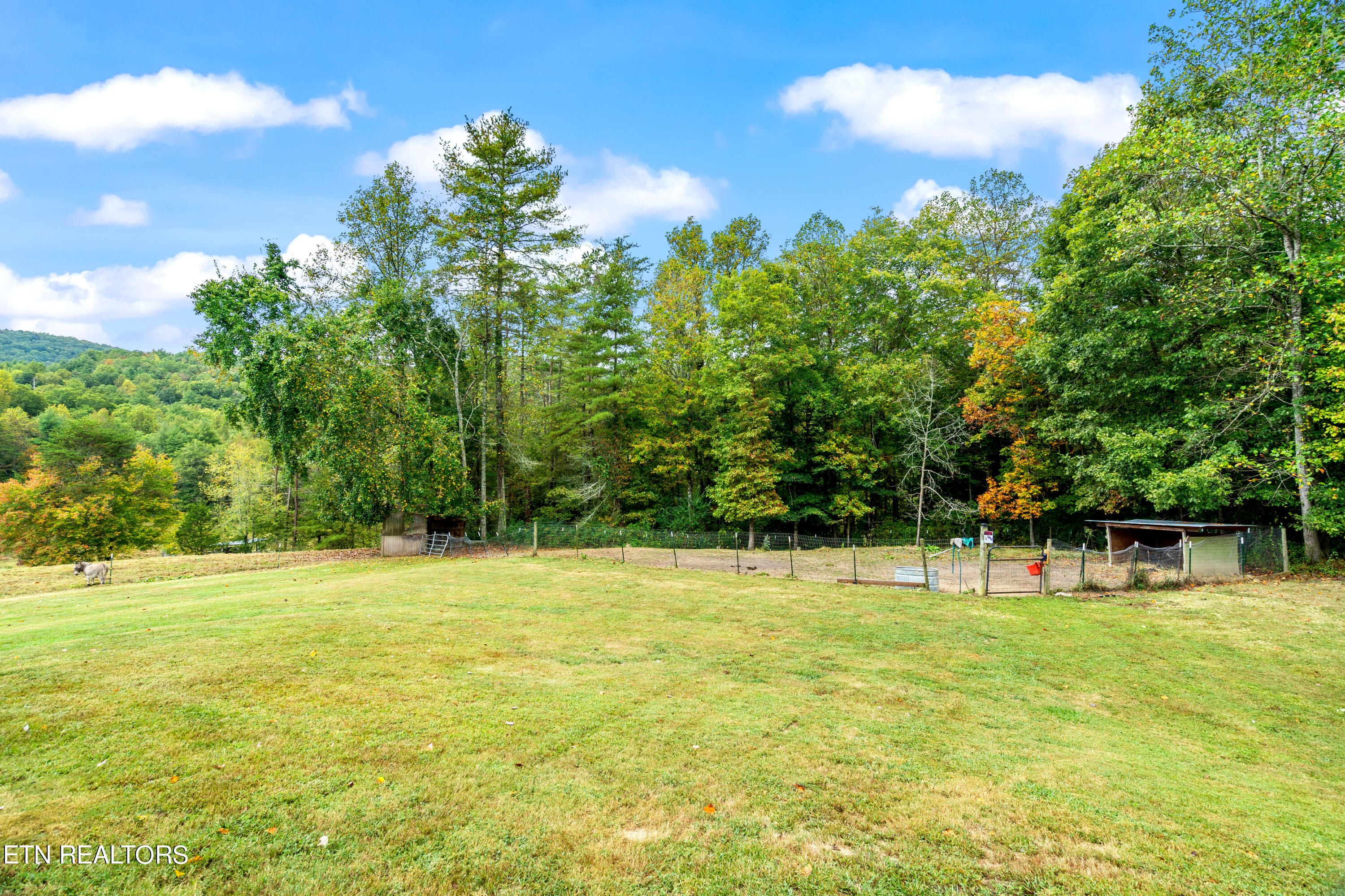 205 Russell Hollow Rd