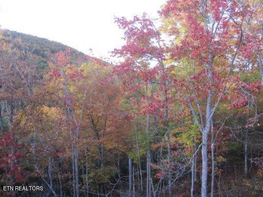 Green Ridge Trail - Lot #2, Harriman