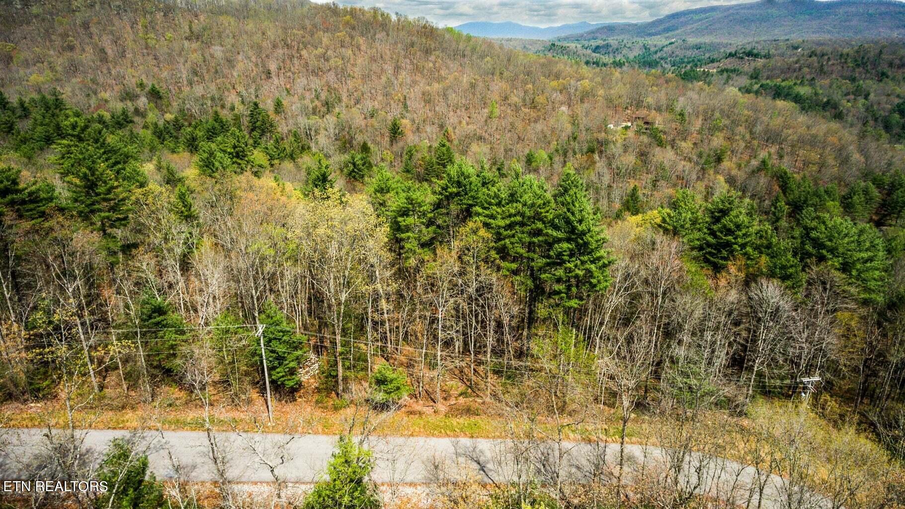 Green Ridge Trail - Lot #2, Harriman