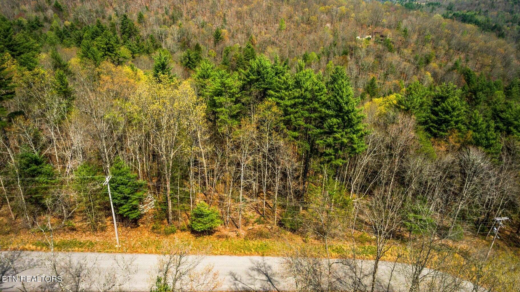 Green Ridge Trail - Lot #2, Harriman