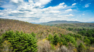 Green Ridge Trail - Lot #2, Harriman