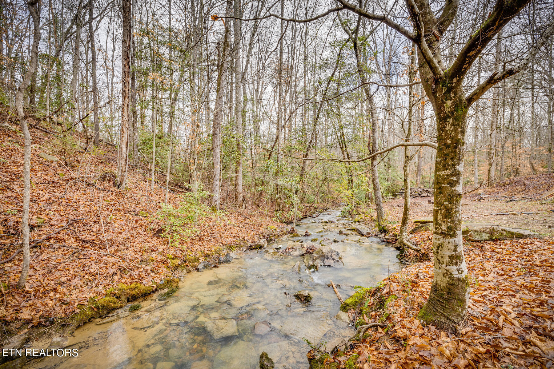 149 Mountain View Estates Rd