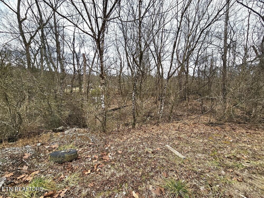 312 Michael Dunn Drive