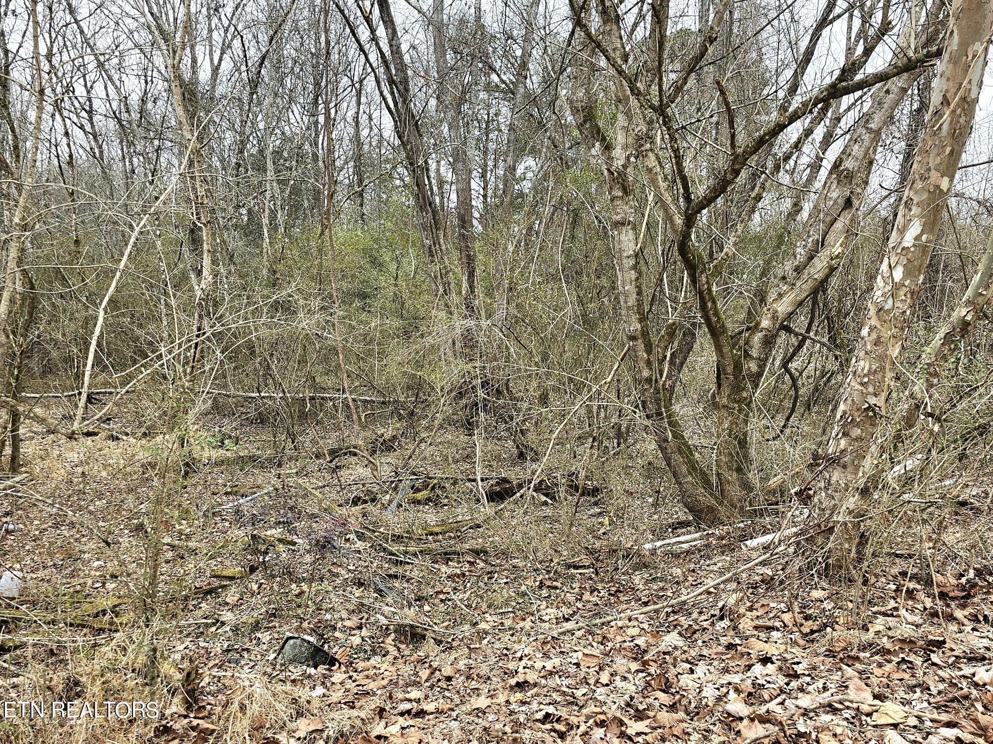 312 Michael Dunn Drive