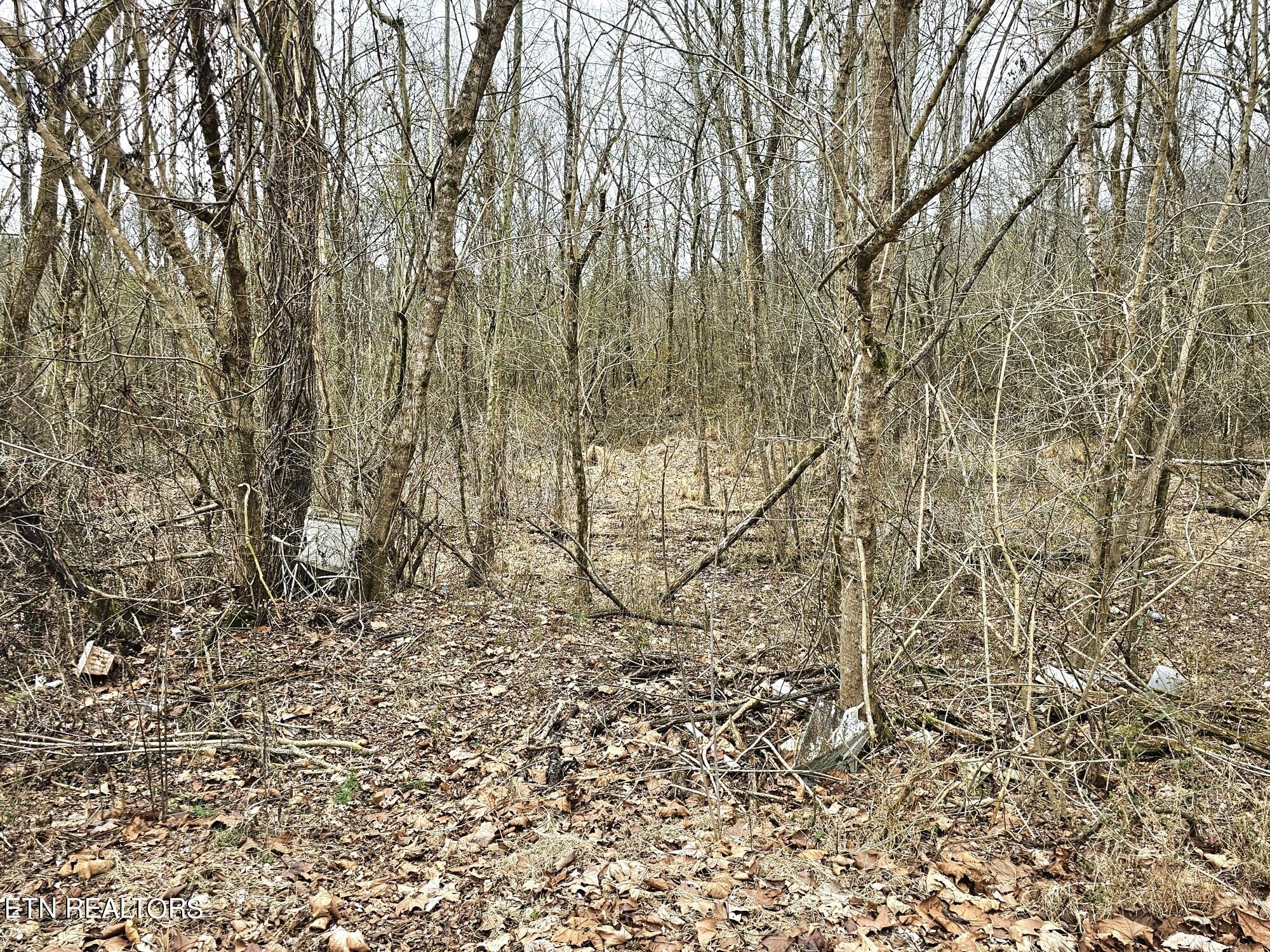 312 Michael Dunn Drive