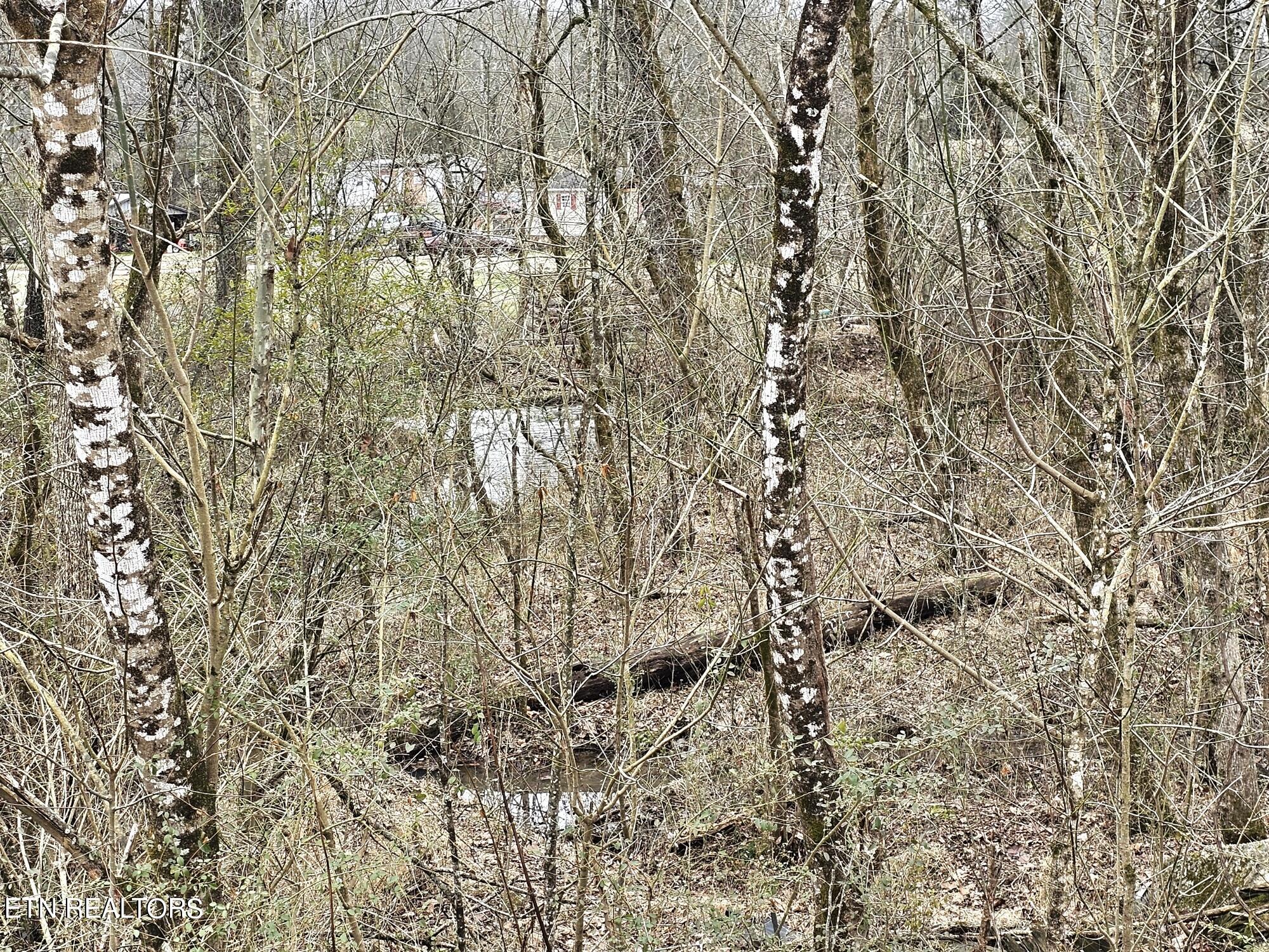 312 Michael Dunn Drive