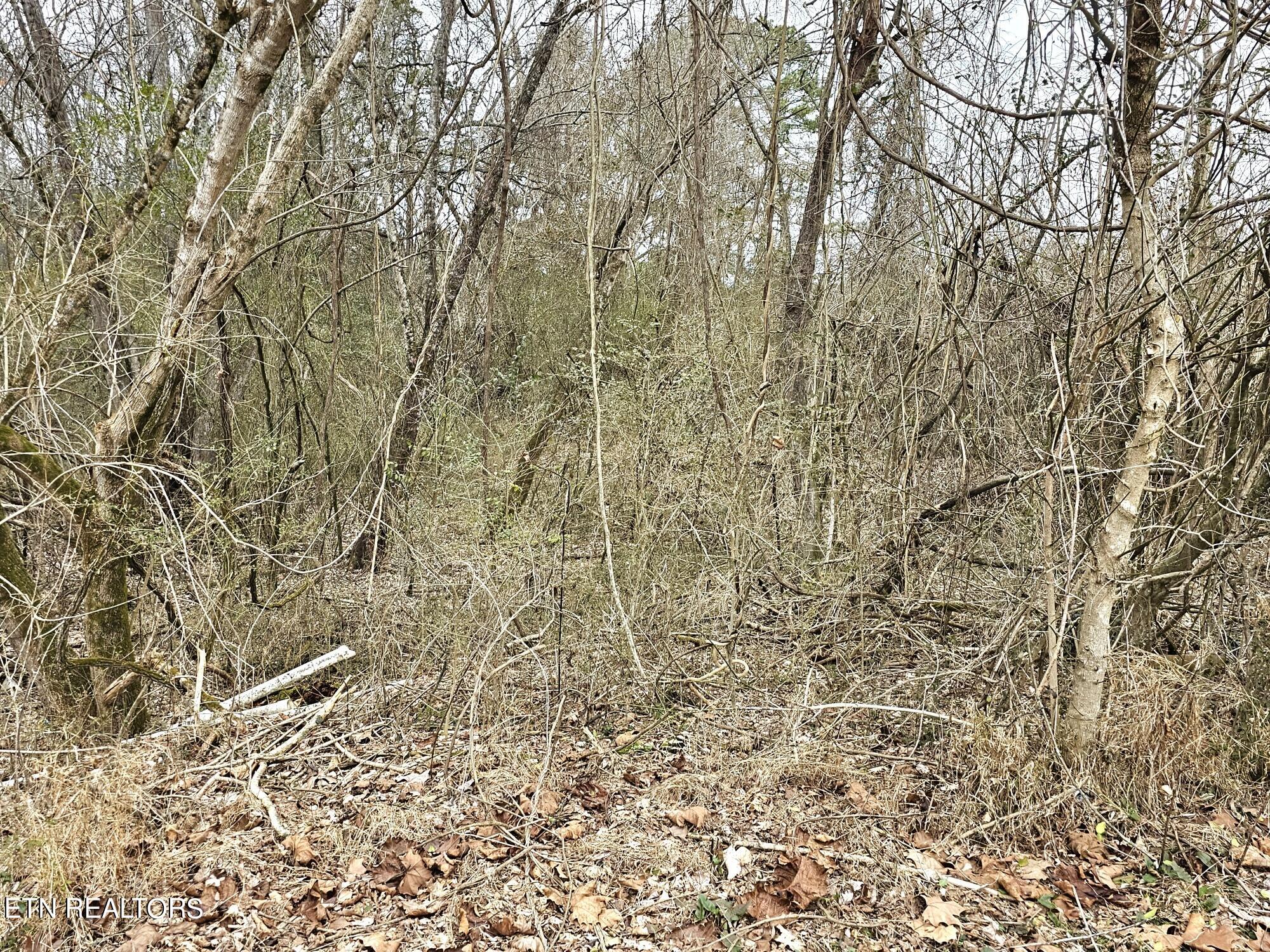 312 Michael Dunn Drive