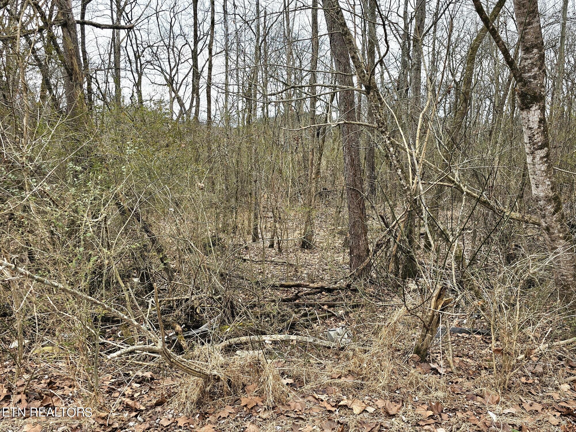 312 Michael Dunn Drive