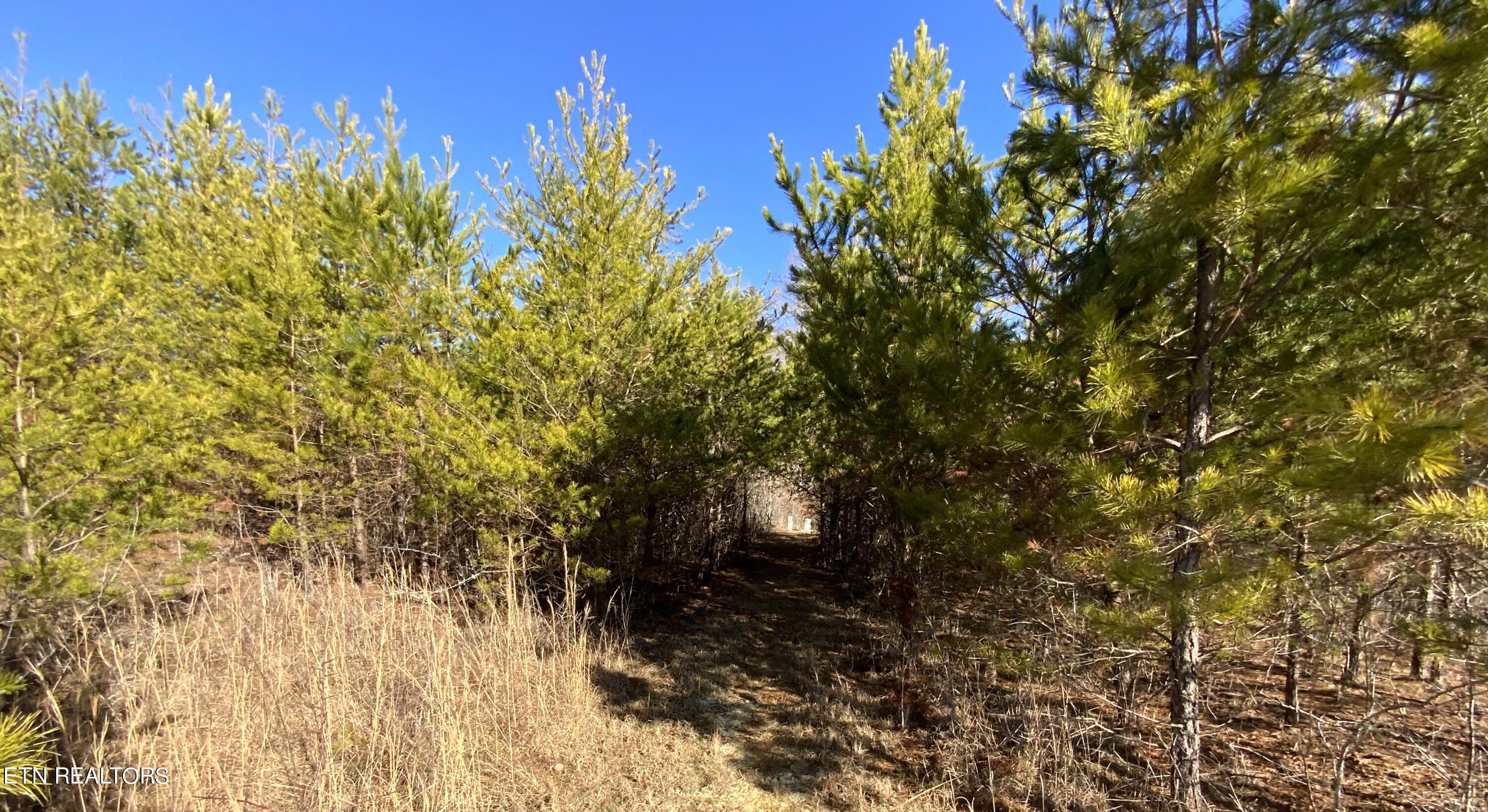 9 Acres New Midway Rd