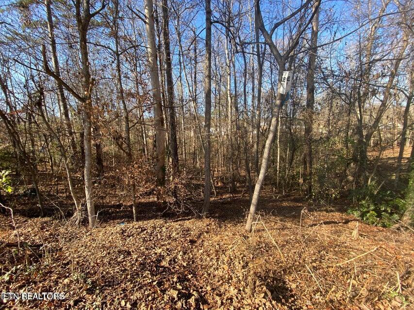 Bowman Bend Rd, Lot 79