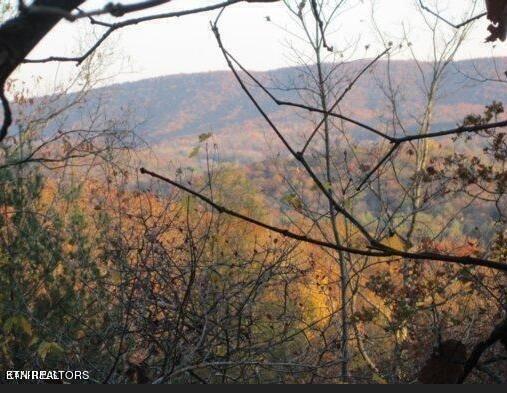 Green Ridge Trails - Lot #37