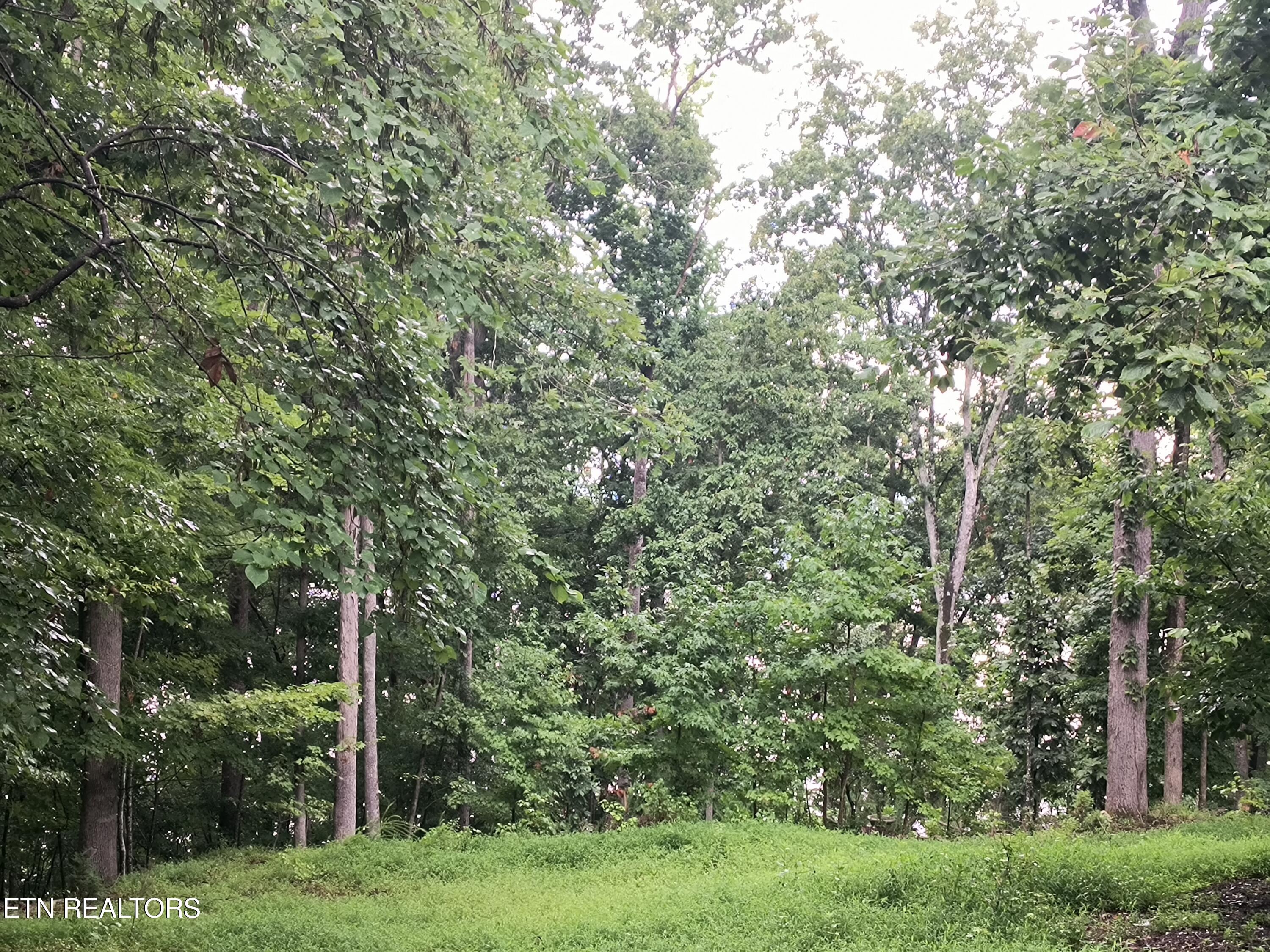 150 Loch Haven Drive