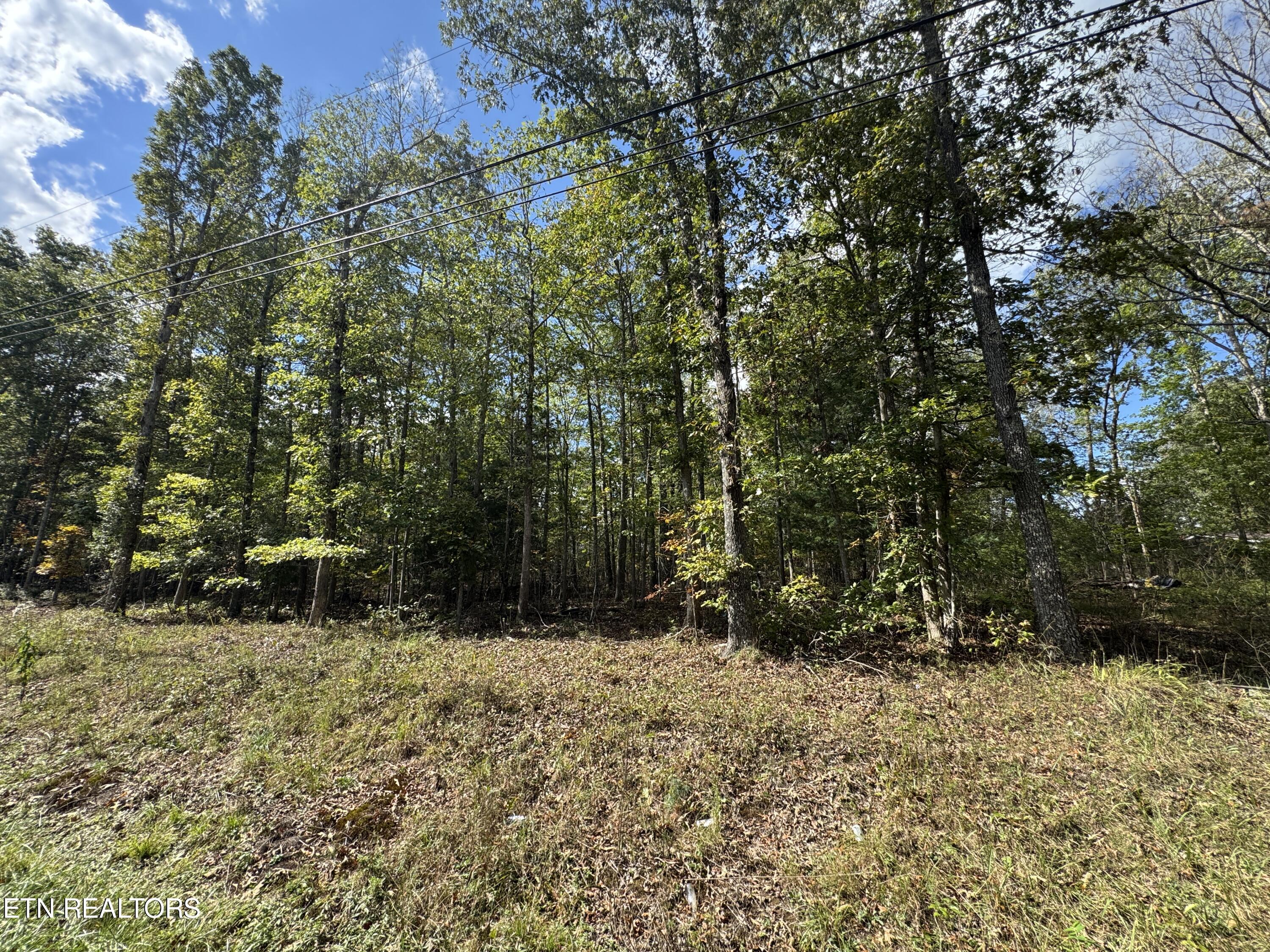 4031 Moonbeam Trl Tr