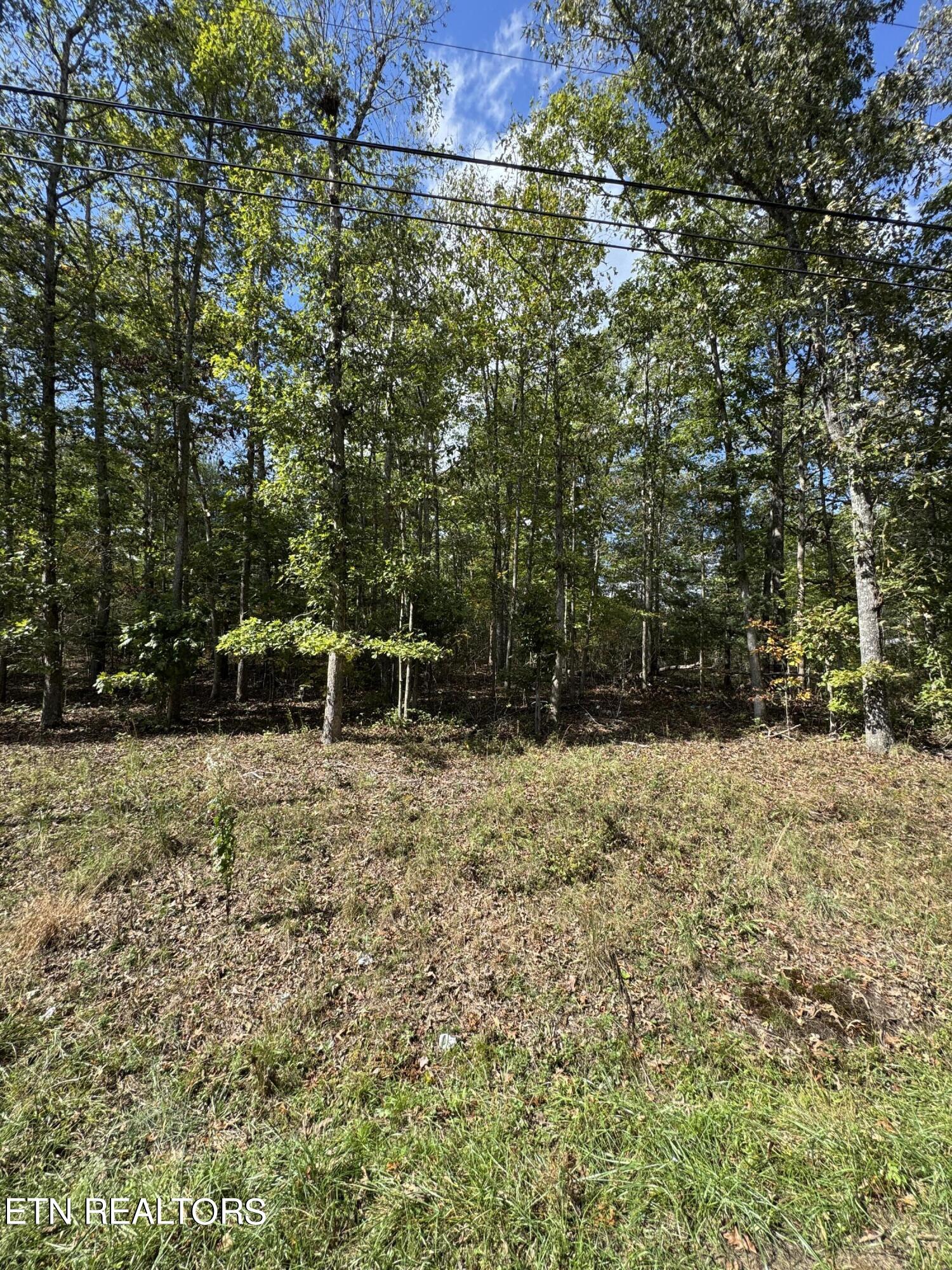 4031 Moonbeam Trl Tr