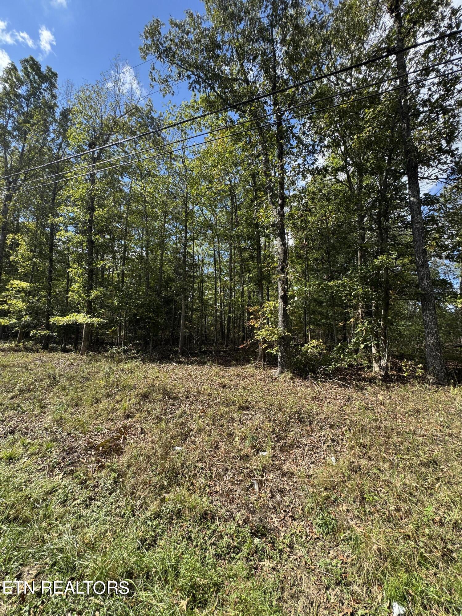 4031 Moonbeam Trl Tr