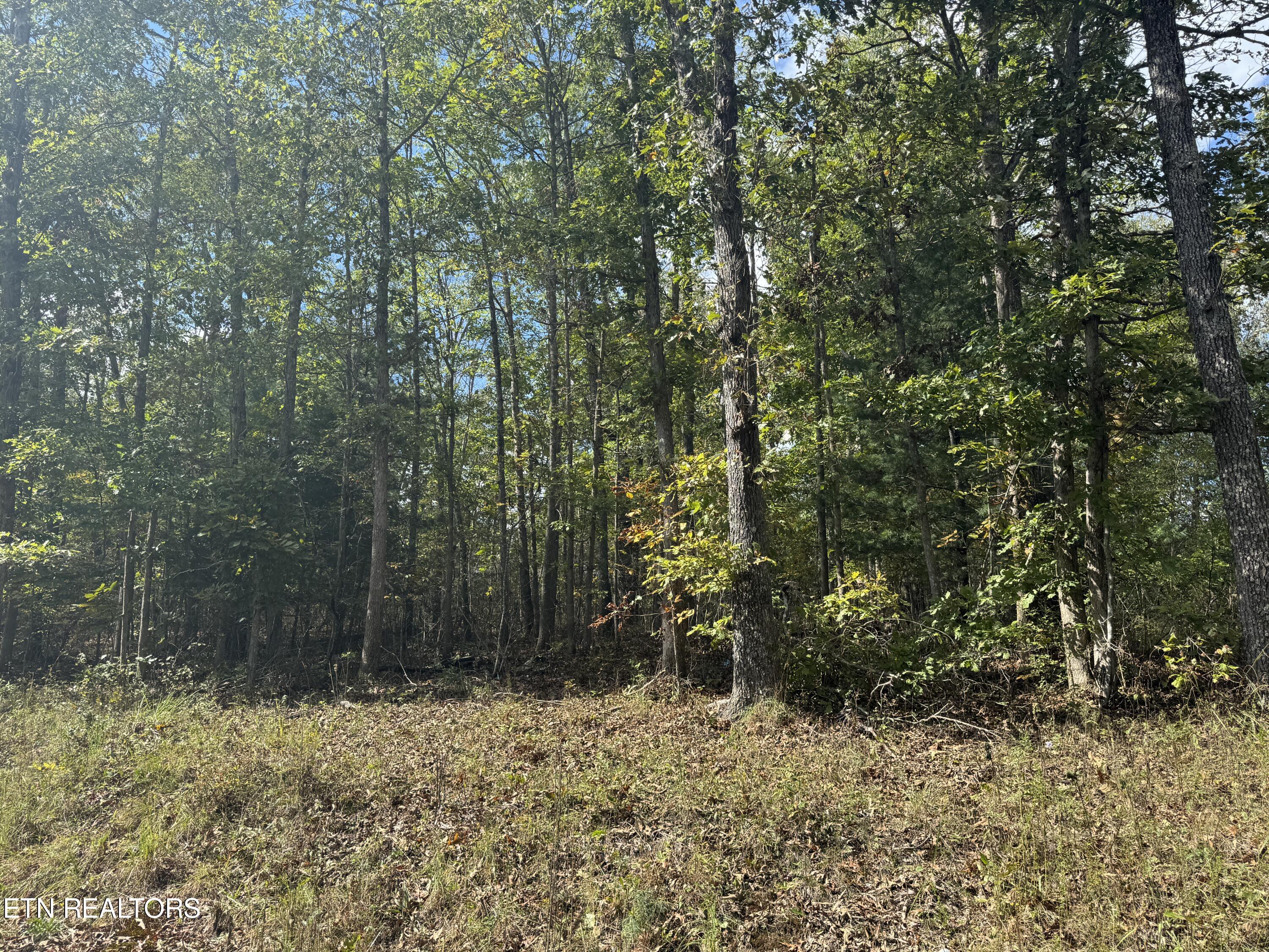 4031 Moonbeam Trl Tr