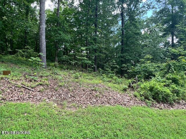 506 Grande Vista Drive