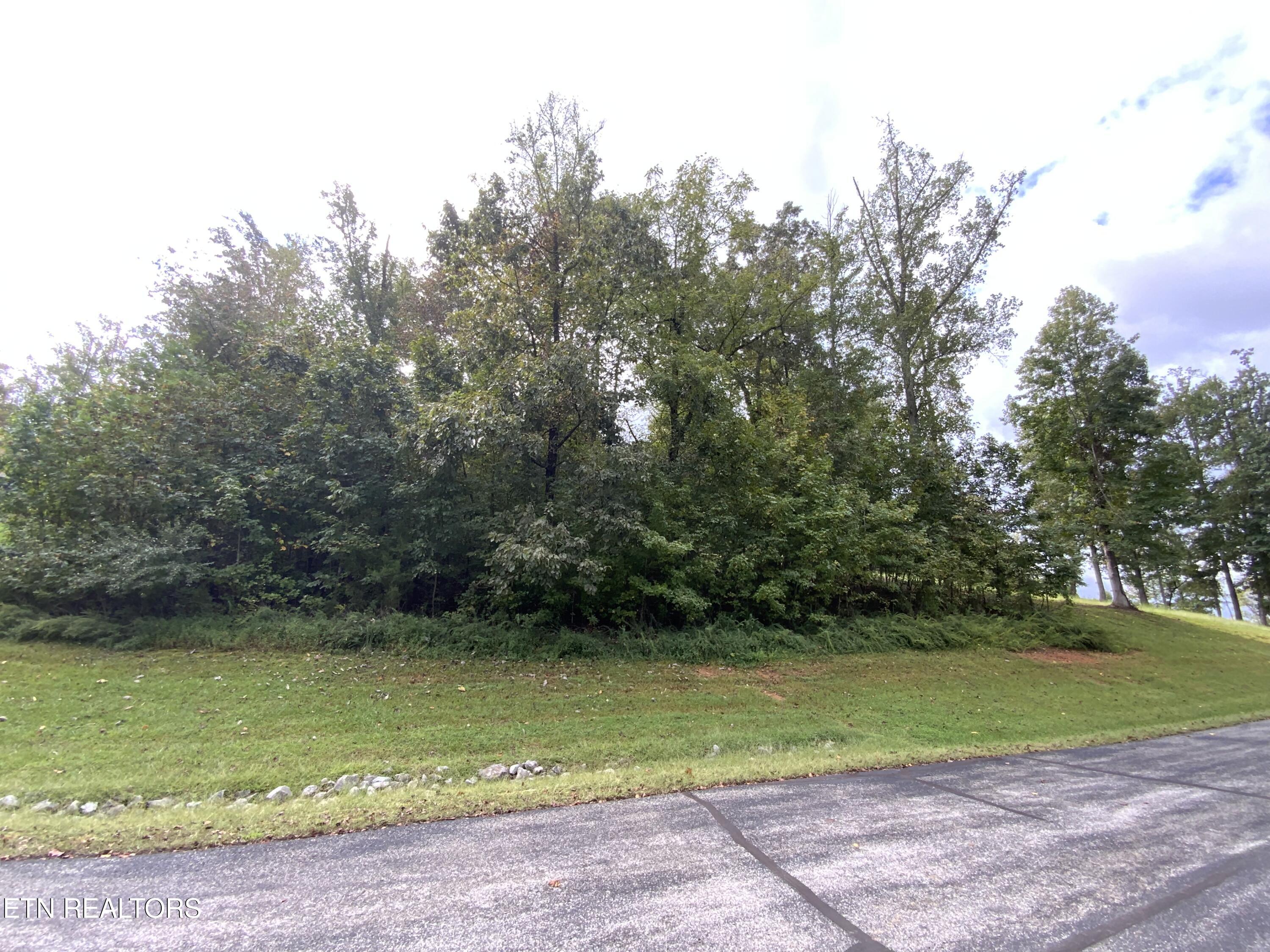 368 Walking Horse Tr