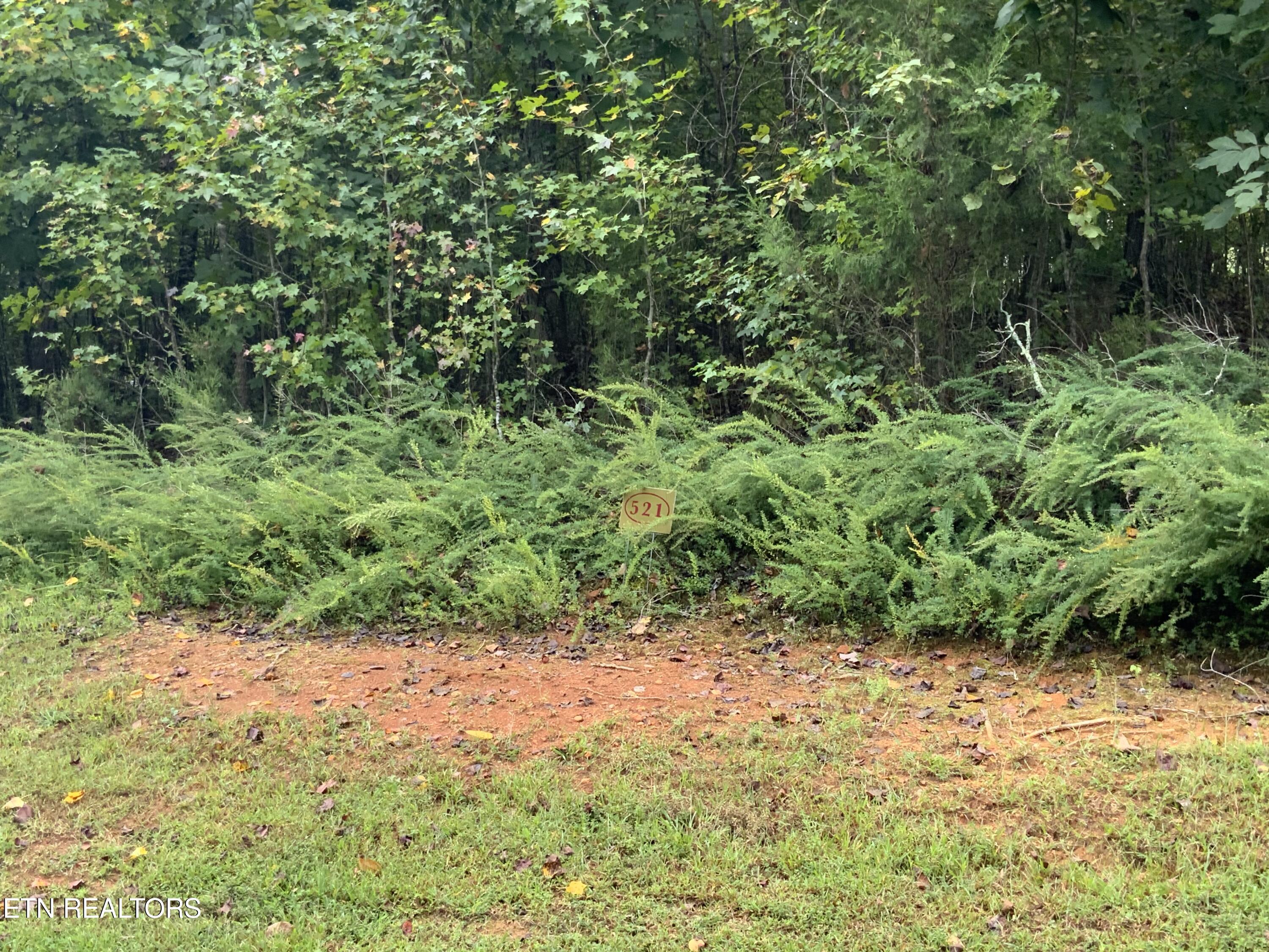 368 Walking Horse Tr