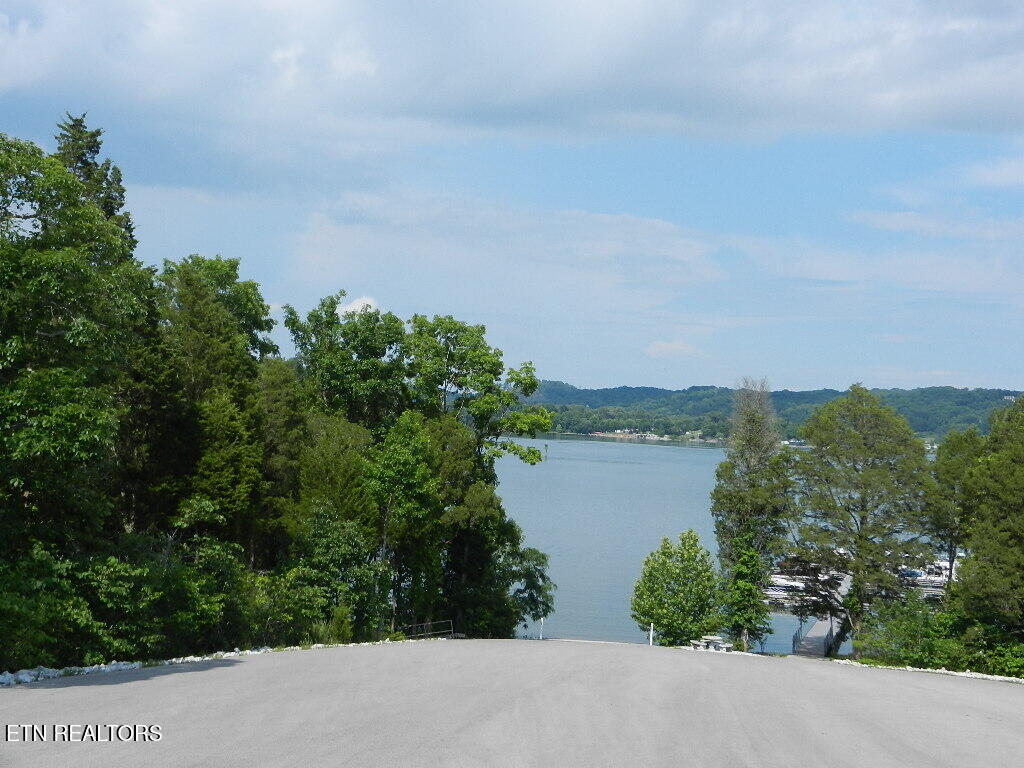 368 Walking Horse Tr