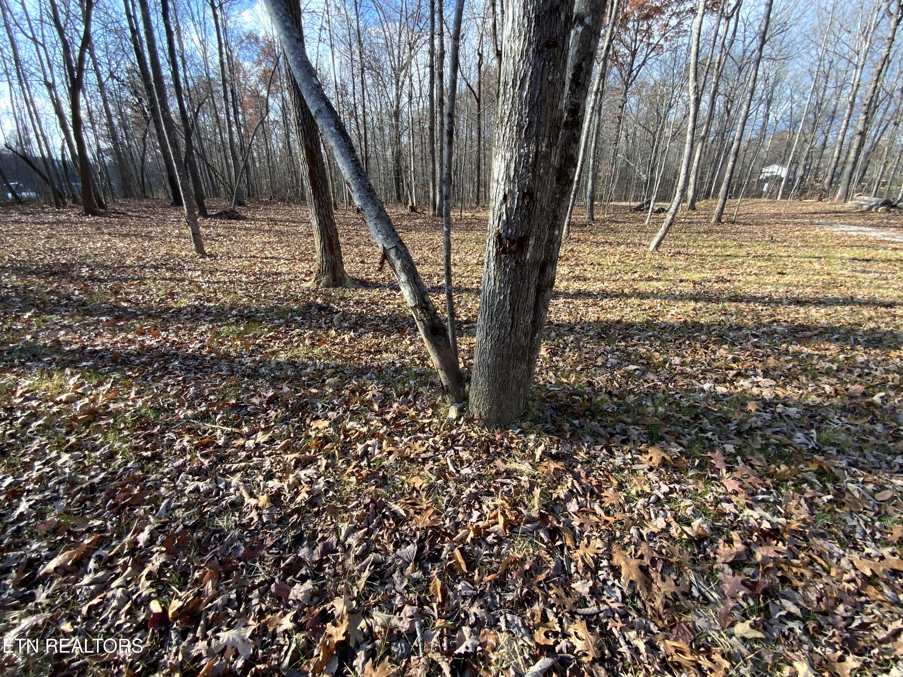 436 Pilot Mountain Rd