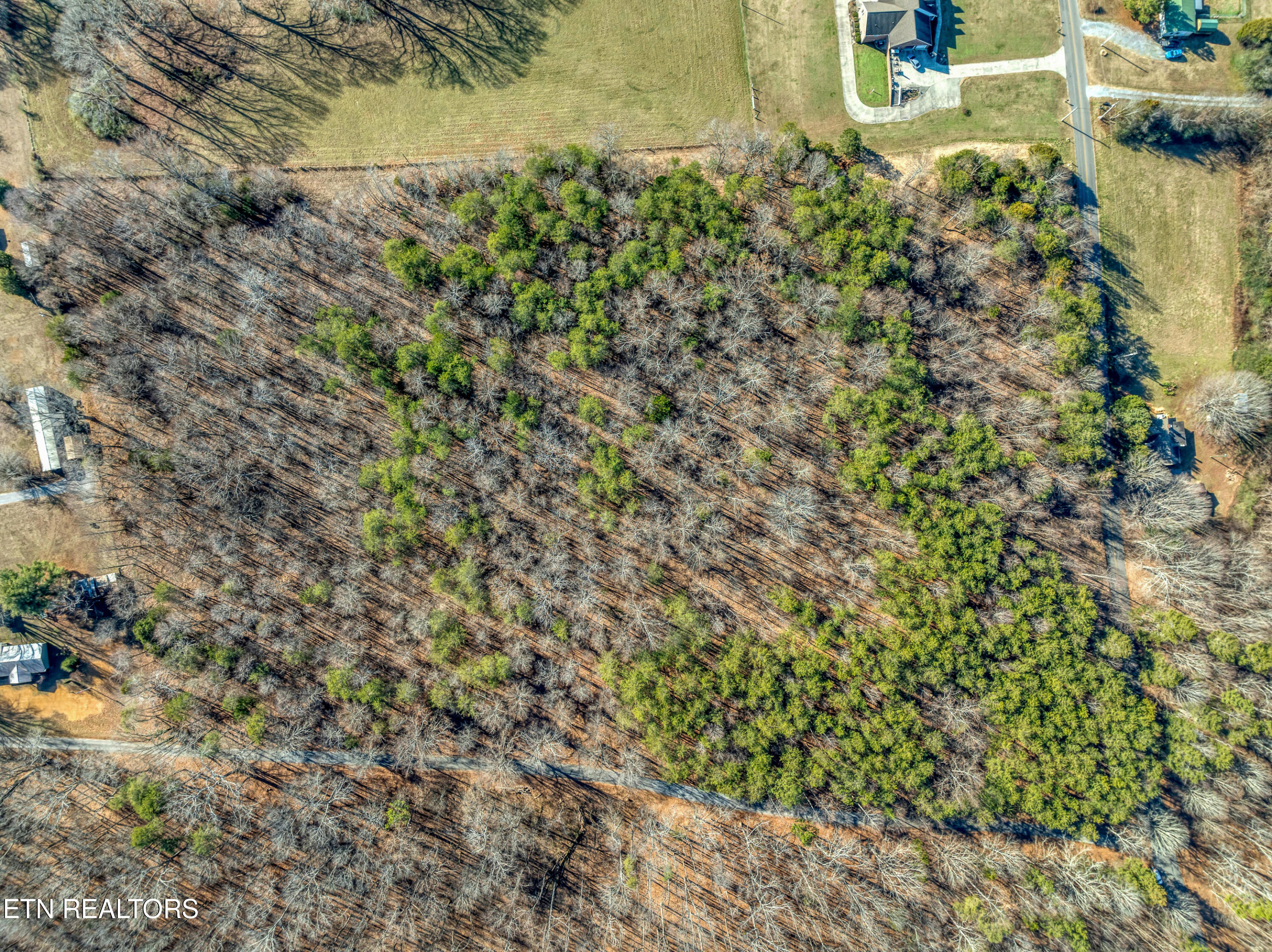 County Rd. 260 Lot 1