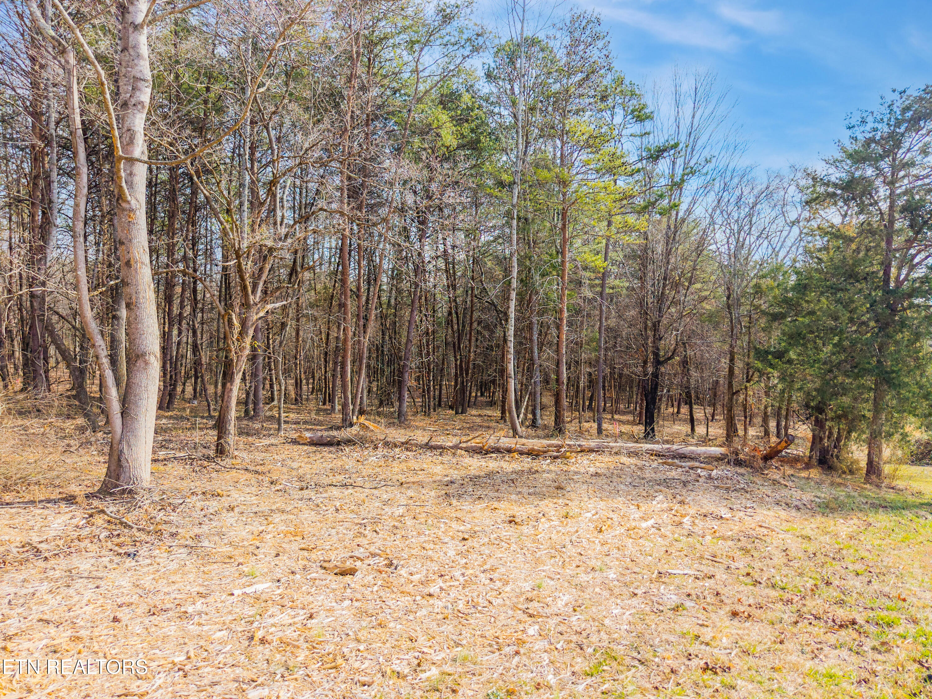 County Rd. 260 Lot 1