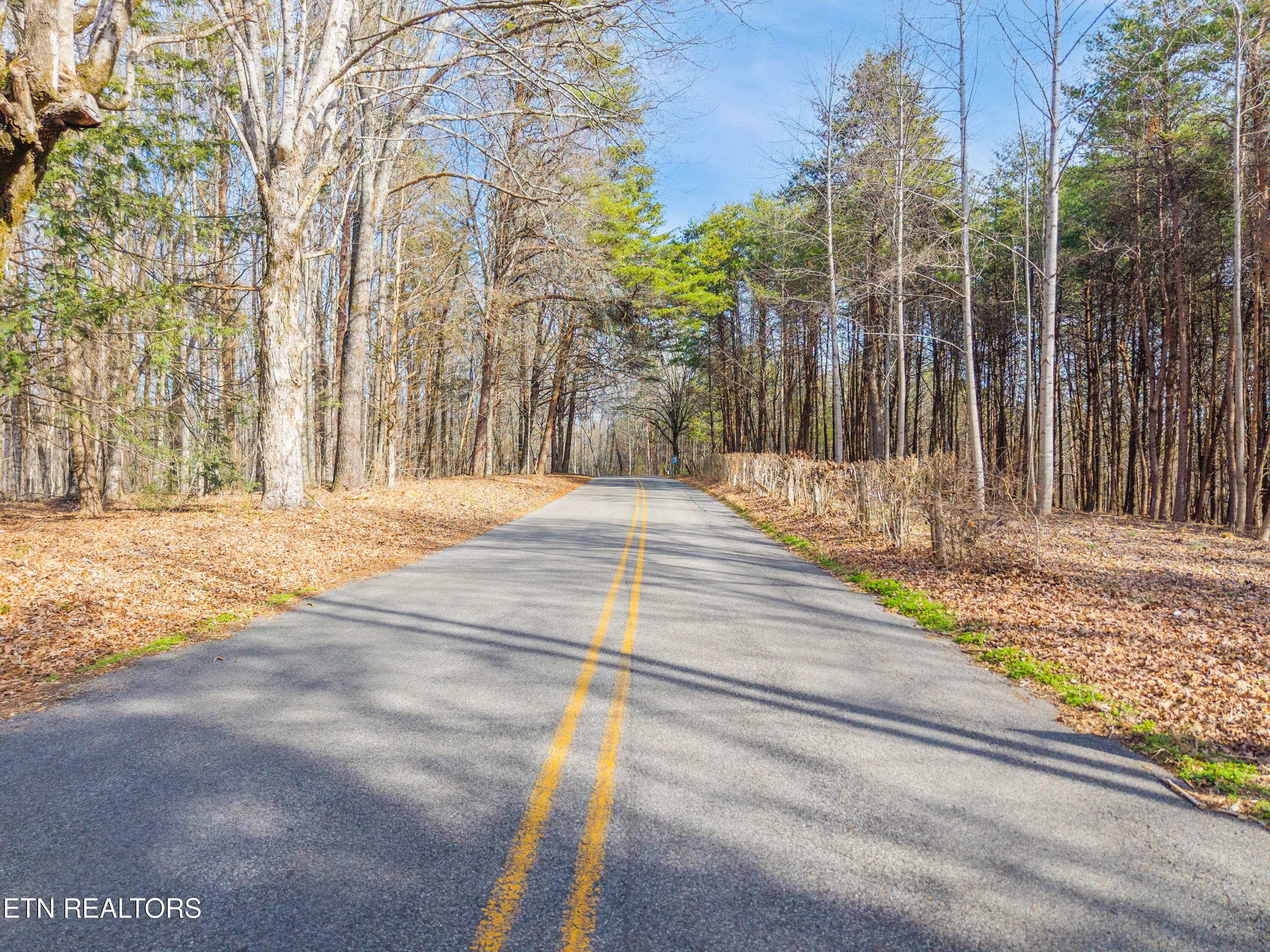 County Rd. 260 Lot 1
