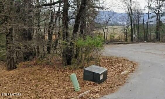 181 Trail View Drive