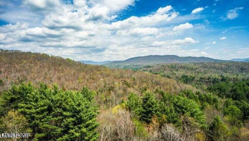 Lot 39 Green Ridge Tr