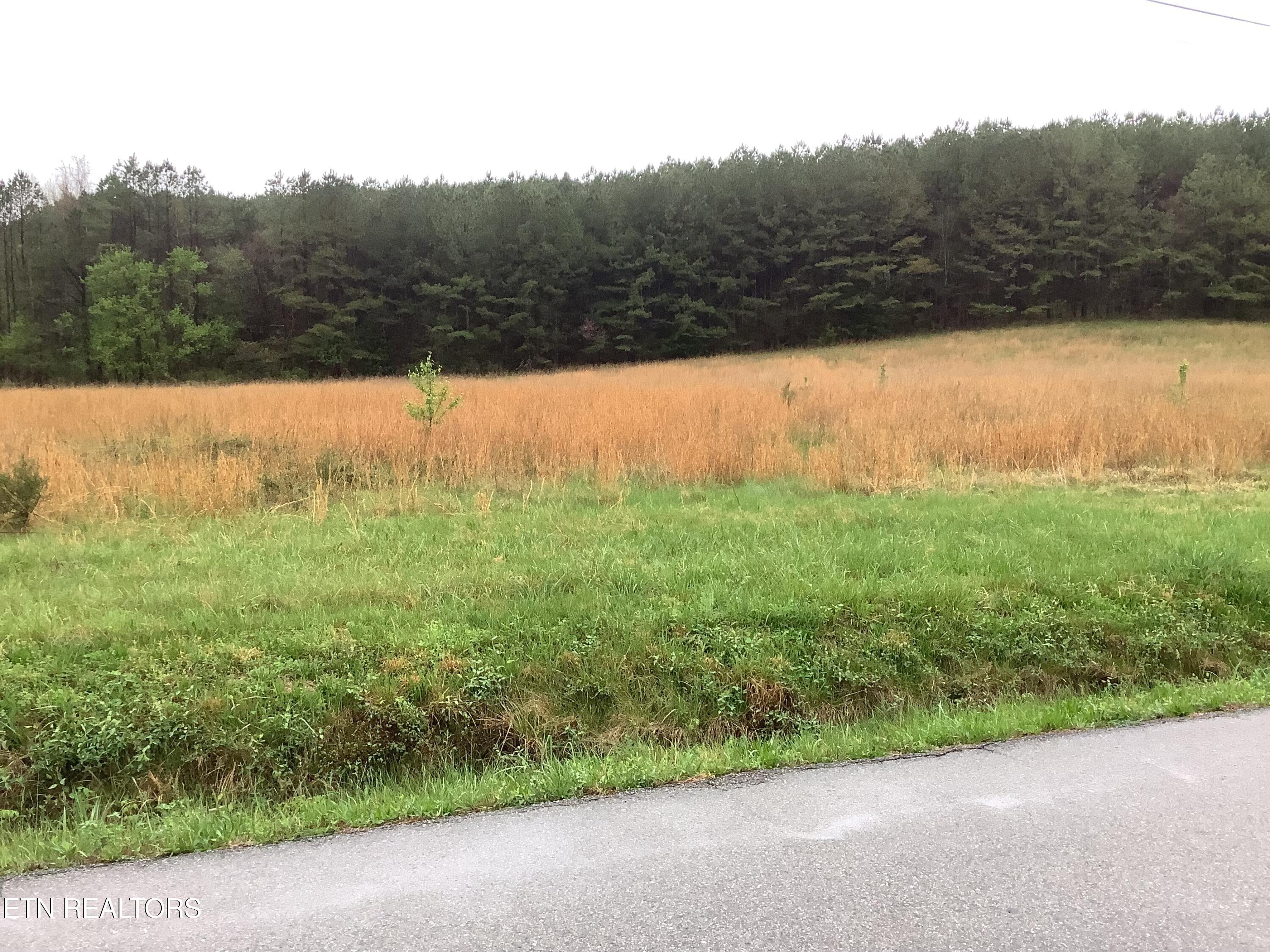 113 Woods Hollow Rd