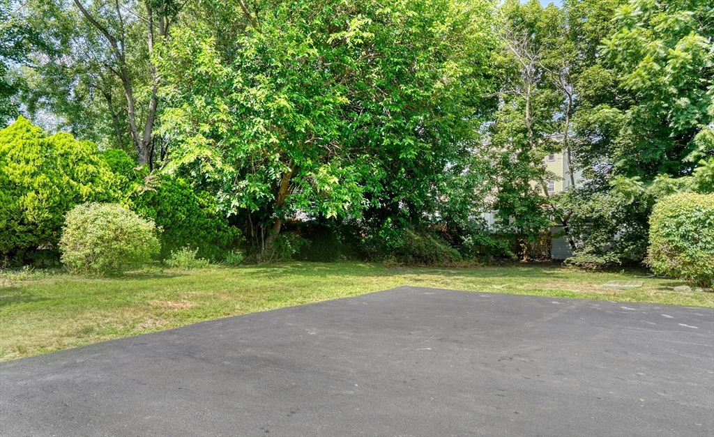 83 Concord Ave # 1