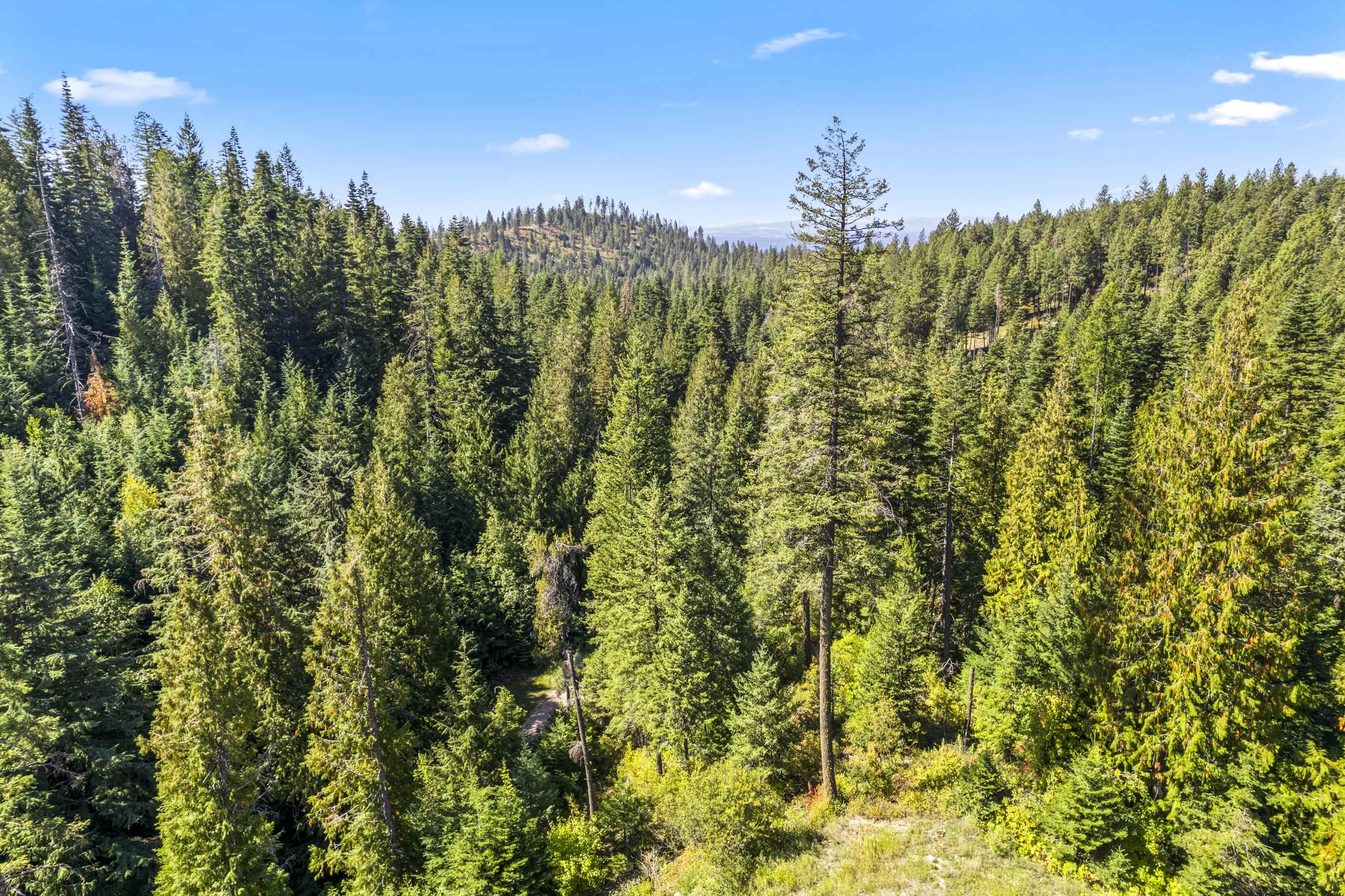 28420 N Thunderhill Ln