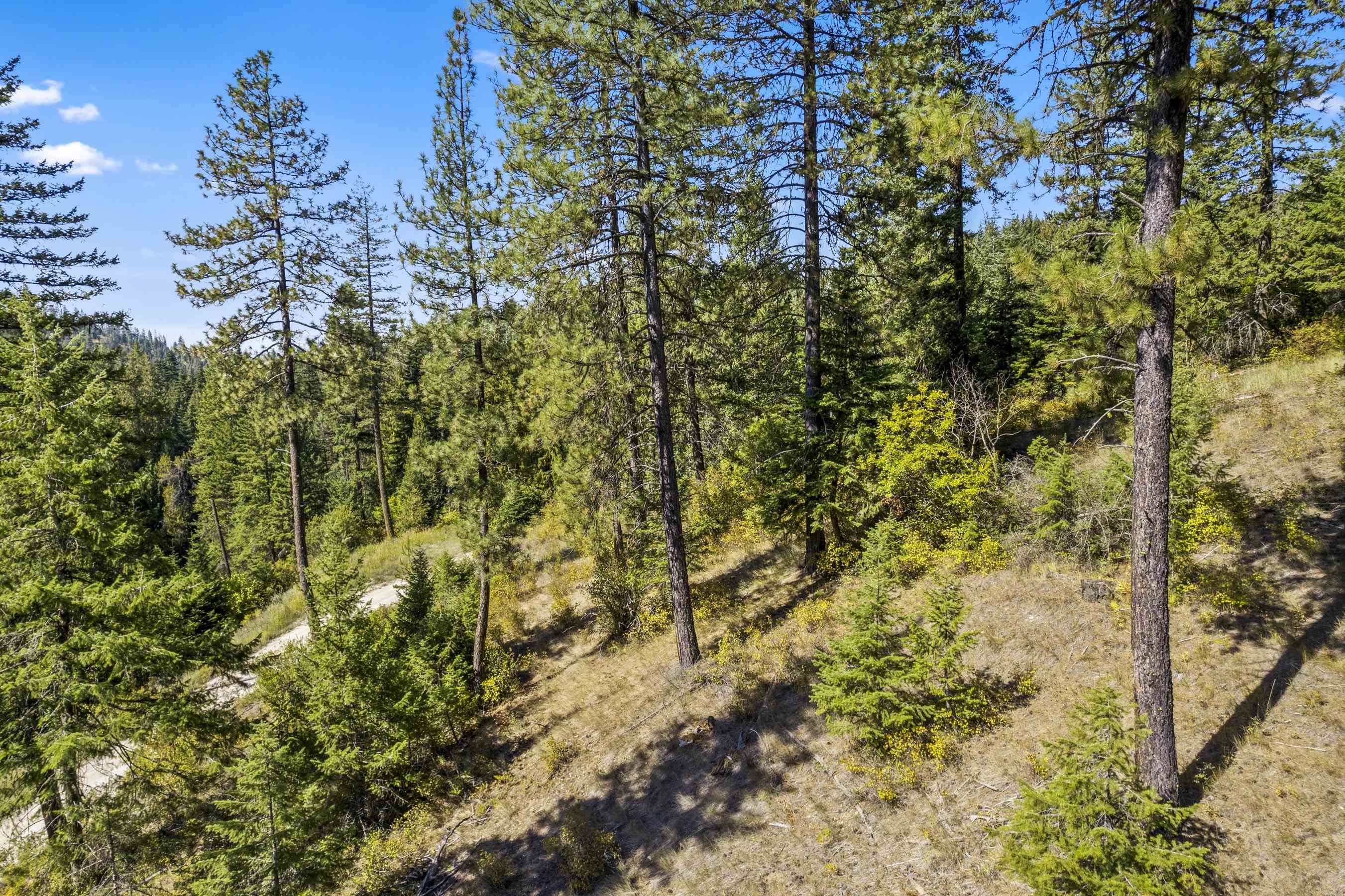 28420 N Thunderhill Ln