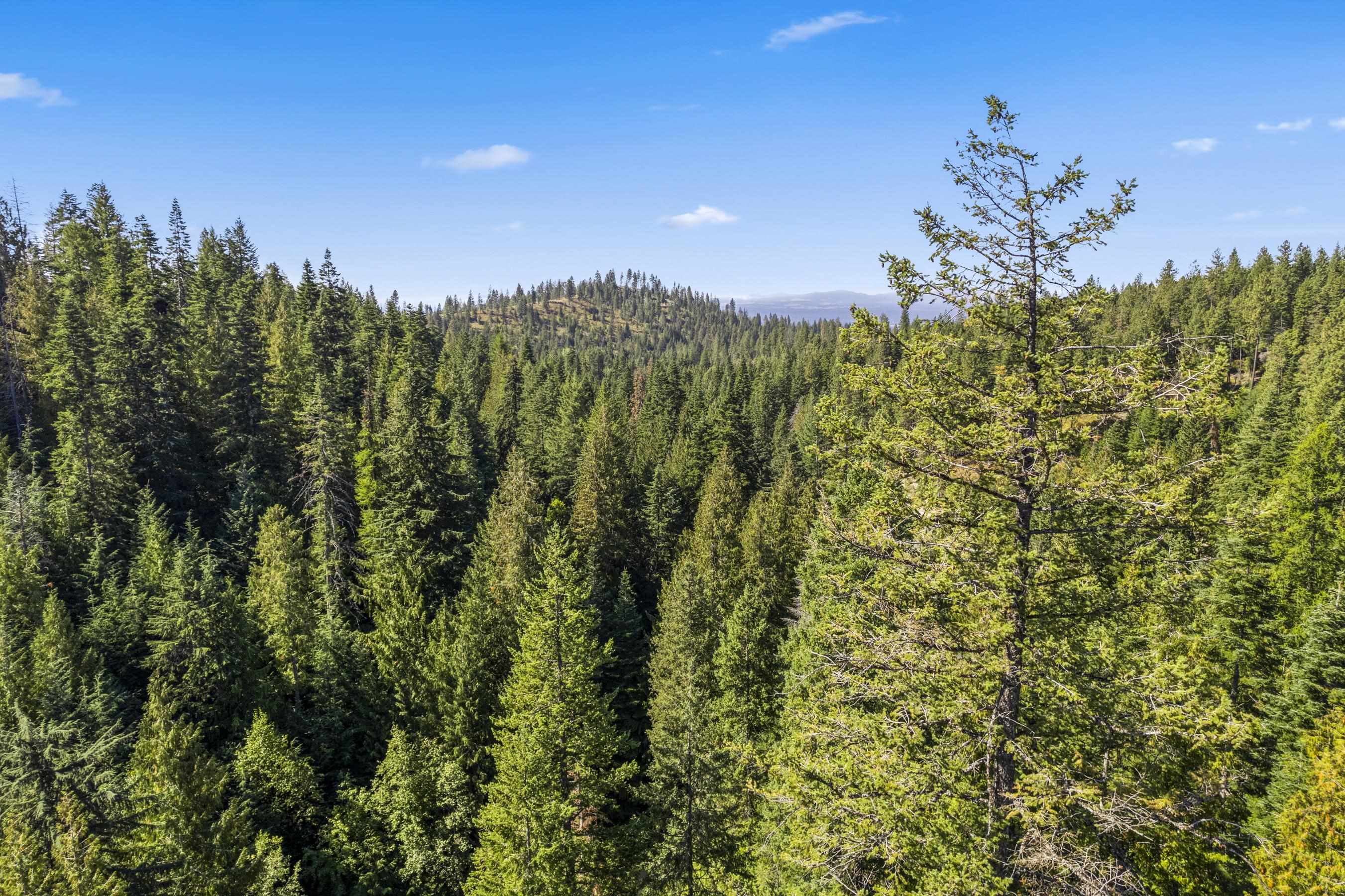 28420 N Thunderhill Ln