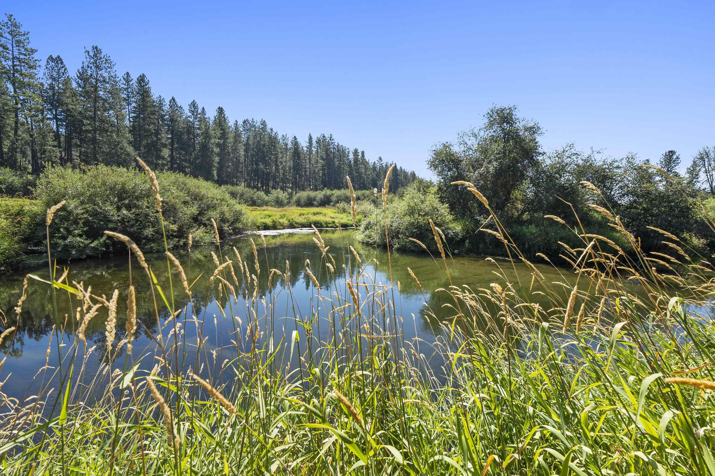 19228 N Little Spokane Dr