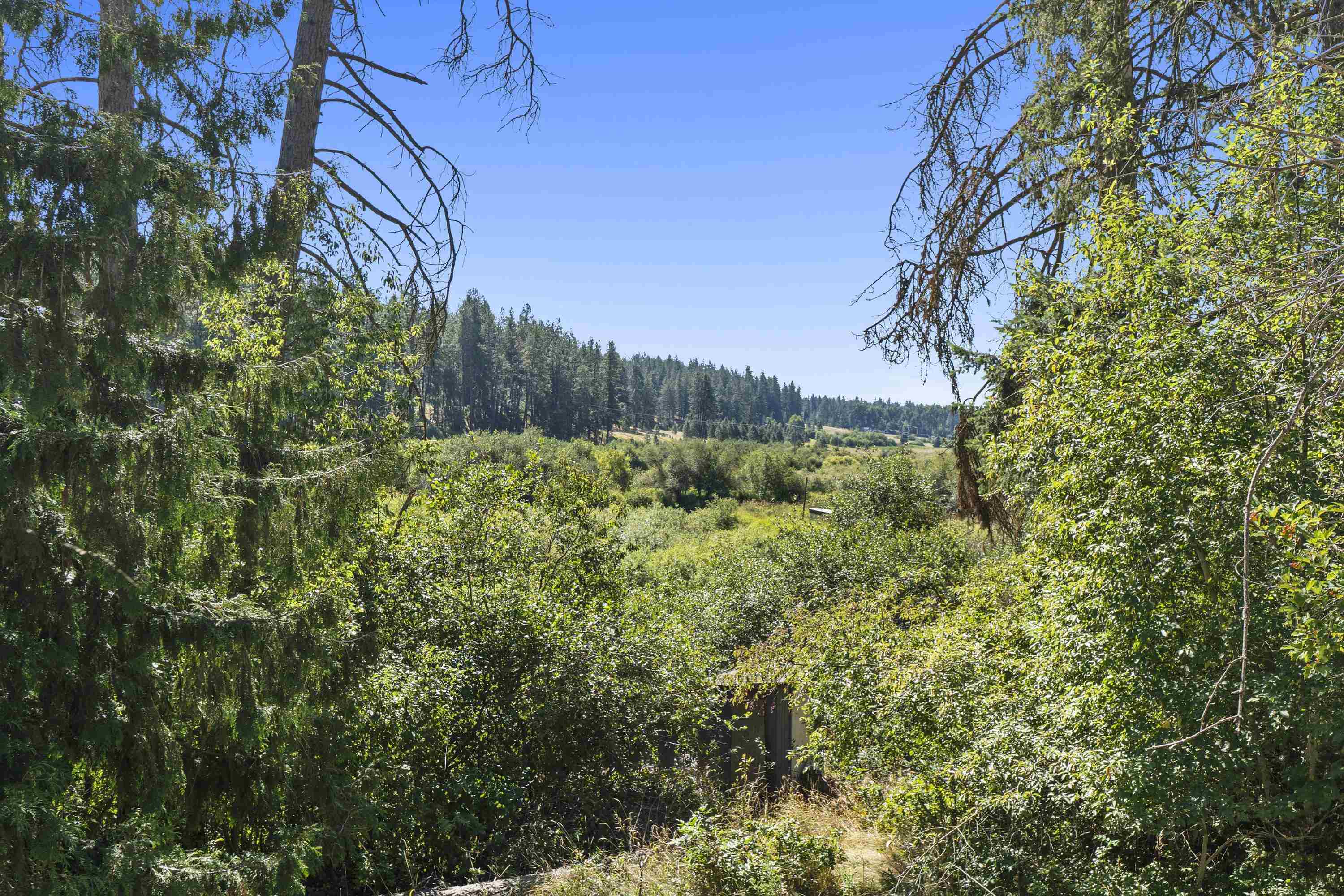 19228 N Little Spokane Dr