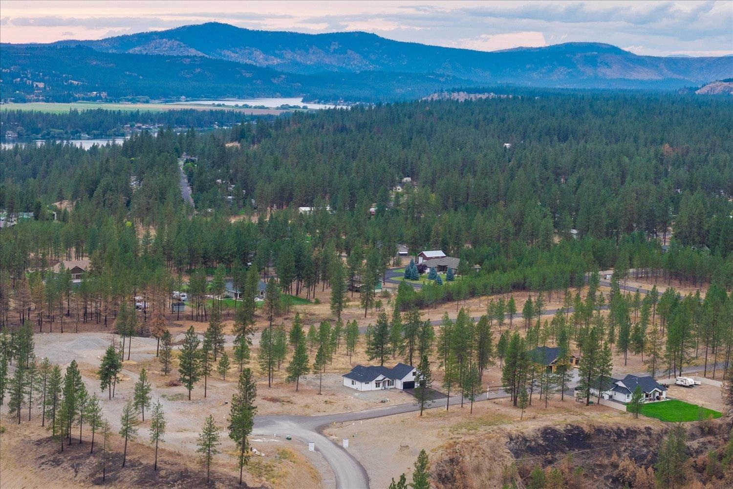 Aerial view of homes among pine trees, with a lake and forested mountains beyond.