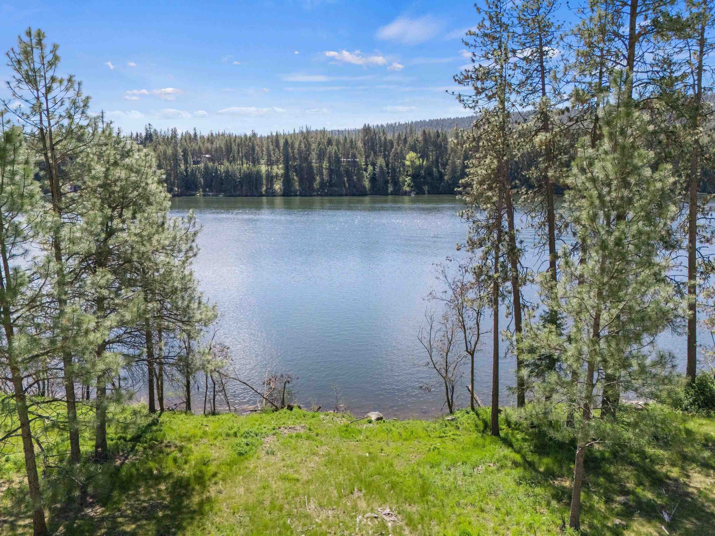 Wooded vacant lot sloping to a lake, framed by pine trees.
